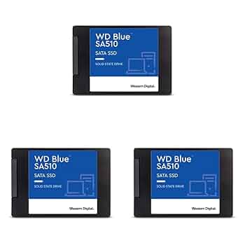 Amazon.com: Western Digital 1TB WD Blue SA510 SATA Internal