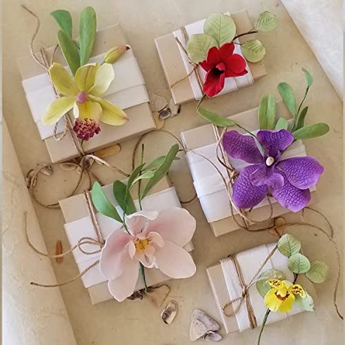 Flower Pro Ultimate Orchids Silicone Molds & Veiner Set - 2 Molds & 1 Veiner - Makes 5 Orchid Types: Dendrobium, Vanda, Oncidium (Dancing Ladies/Butterfly), Cymbidium (Boat), Phalaenopsis (Moth) #TOP5