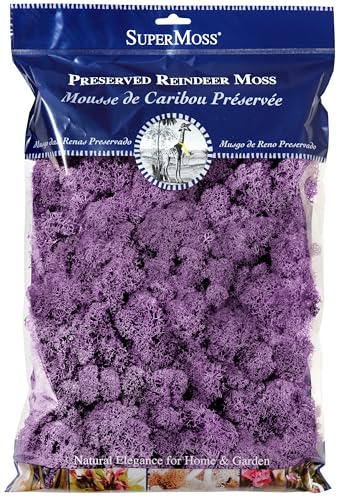 SuperMoss (25158) Reindeer Moss Preserved, Lavender, 8oz Bag