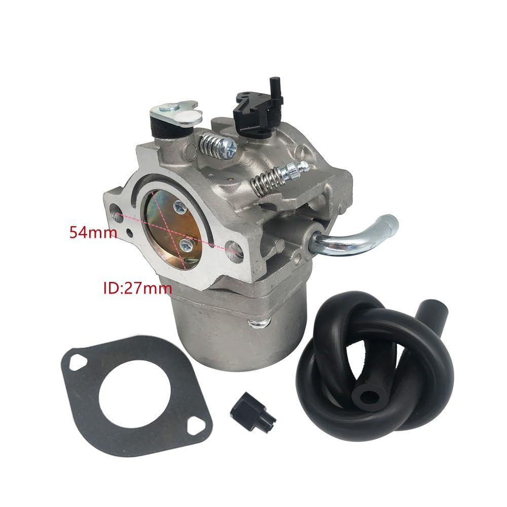 Amazon.com: [Replacement parts] Carburetor 796077 For Briggs and 