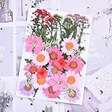 Wir bieten jedem Kunden qualitativ hochwertige Service an, der in unseren Laden kommt, und sich frei, unsere Produkte zu kaufen.Wenn Sie Fragen haben, wenden Sie sich an uns, und wir werden Ihre Zweifel innerhalb von 18 Stunden beantworten.