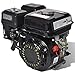 vidaXL Motor de Gasolina Negro 6,5HP 4,8kW Recambio Coche Herramienta Vehículo