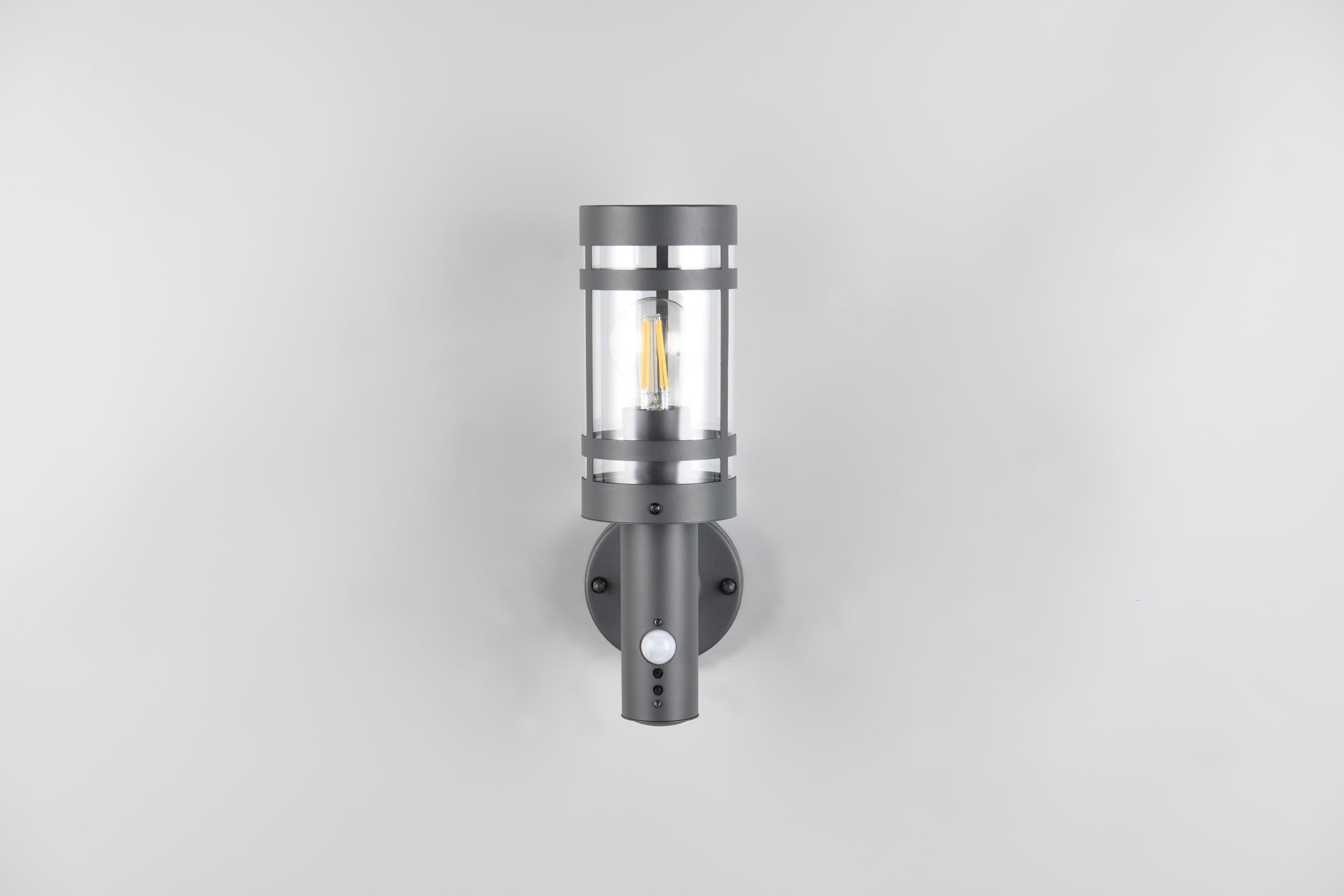 Reality Leuchten Paloma R21719142 - Lampada da parete per esterni, in metallo antracite, paralume in plastica trasparente, 1 x E27, sensore di movimento