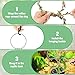 Catcan Snake Enrichment Rings for Ball Python, Snake Climbing Accessories Include Climbing Hoop Chain with Hanging Buckle and 5m Artificial Rattan Rope