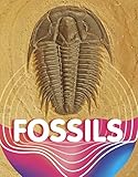 Fossils (Earth Materials and Systems)