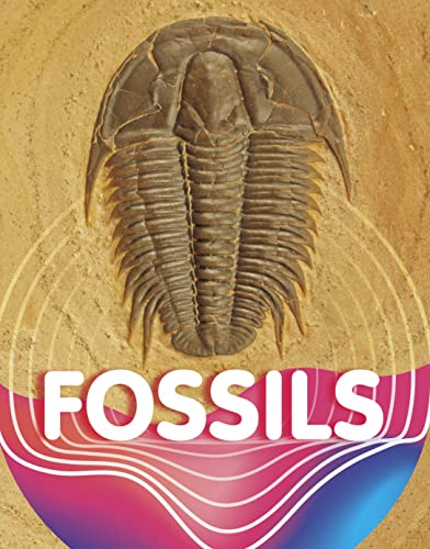 Fossils (Earth Materials and Systems)
