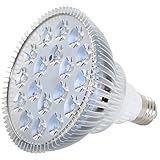 ABI LED Light Bulb for Red Light Therapy, 850nm Near Infrared, 54W Class