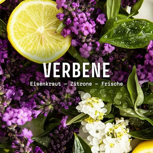 Panier des Sens Panier des sens verbene eau de toilette für damen - belebend erfrischender duft mit zitrone - unvergessliches muttertagsgeschenk - parfüm frauen - vegane naturkosmetik made in france - 50ml