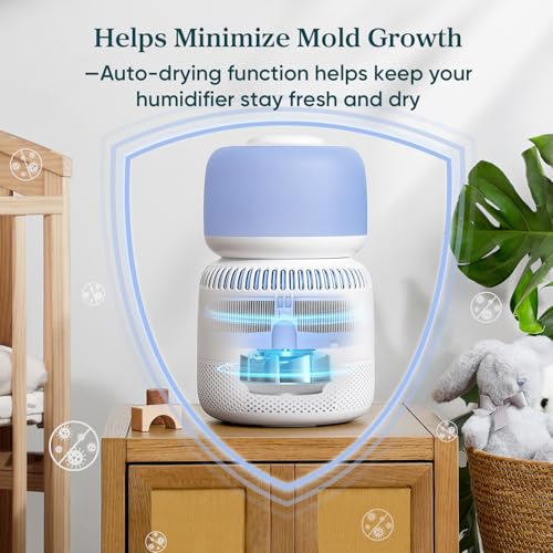 LEVOIT Evaporative Humidifiers for Bedroom Baby, Dual Air and Water Filters, Separate Sensor, Blue Light Free for Nursery Nightlight, Auto Dry, Smart Control & Alexa, Auto Mode, 3.8L Tank for 36H