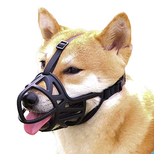 Top 10 Best Muzzles for Chihuahuas Exqeo