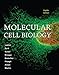Mol Cell Bio 8E Pi