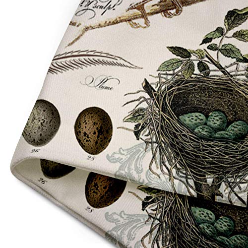 Emvency Throw Pillow Cover Floral Eggs Modern Vintage French Bird And Dragonfly Decorative Linen Pillow Case Home Decor Square 20 X 20 Inch Pillowcase #TOP3