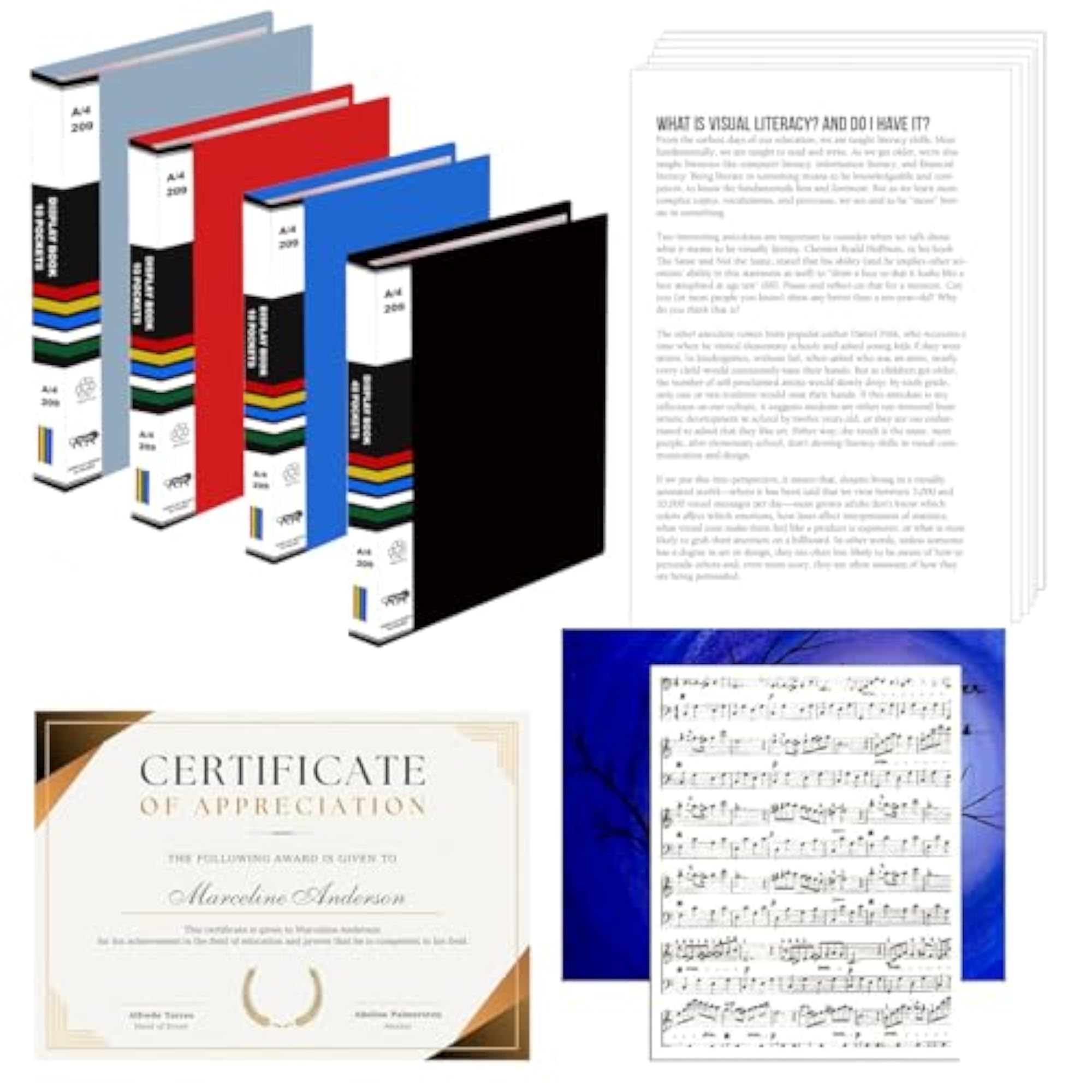 A4 Size Display Book Folder, Document Organizer