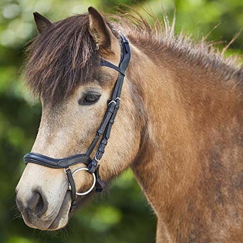 Foto von WALDHAUSEN Island Trense Anatomic, schwarz, schwarz