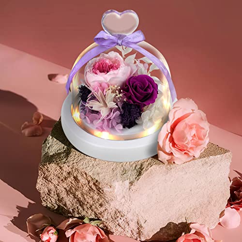 Luntim Preserved Flowers Roses Birthday Gifts For Women, Forever Roses Fresh Flowers With Led Light, Preserved Roses Gift For Mom, Girlfriend, Purple Flowers For Mothers Day, Thank You, Christmas #TOP3