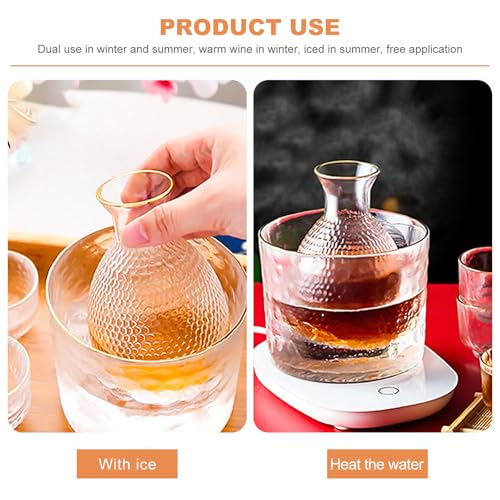 Conteneur à glace pour saké SOLUSTRE en verre facile à nettoyer - 4