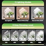 Zoom IMG-2 2 teste di luce per Zoom IMG-2 2 teste di luce per