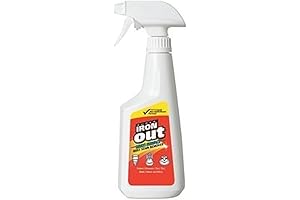 Iron Out Rust Remover: Eliminate Iron Stains with Ease