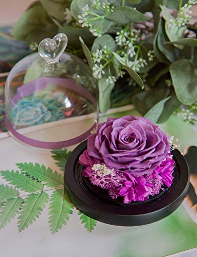 Duhouse Forever Roses Preserved Real Flowers Eternal Enchanted Rose Flower Box Gift For Valentines Birthday Anniversary Mother's Day Christmas(Lavender) #TOP1
