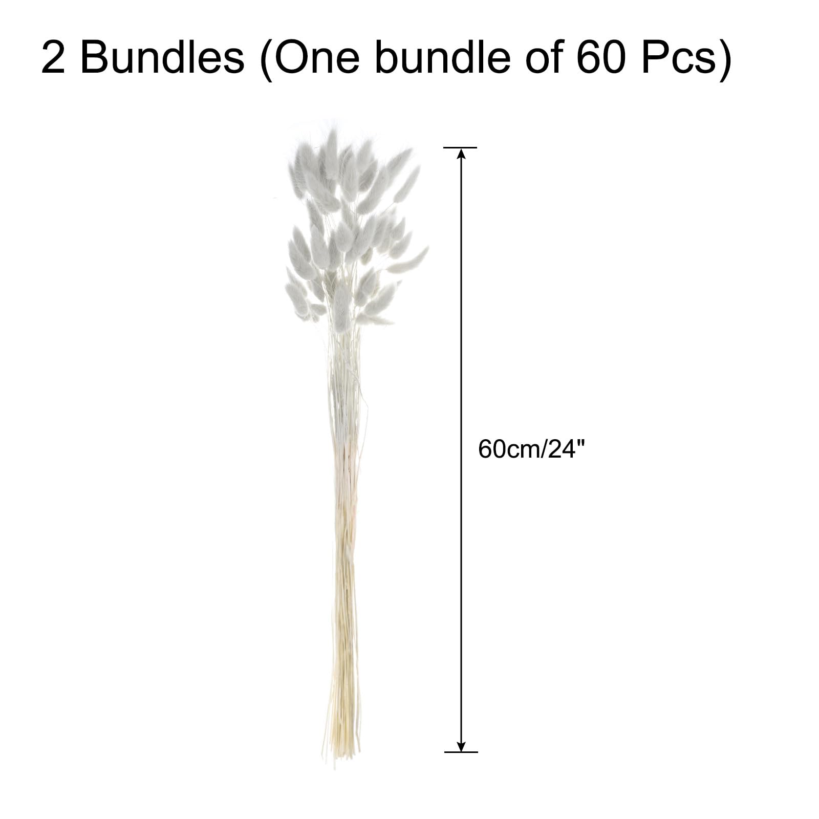 QUARKZMAN 120Pcs Queue de Lapin Naturelle Fleurs Séchées 60cm Gris | Mini Herbe de Pampa Lagurus Ovatus, Bouquet pour Décoration Florale Mariage Noël