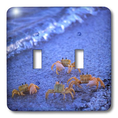 Interrupteur à baïonnette crabes jaunes d'Australie pour déco bord de mer unique