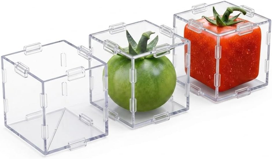 Fruit Shaping Mold for Growing Unique Vegetables, Creative Cube Shaped Fruit Vegetable Mold, Plant Shaper for Home Gardeners Lunch Boxes Educational Projects Garden Party Garnishes image 5