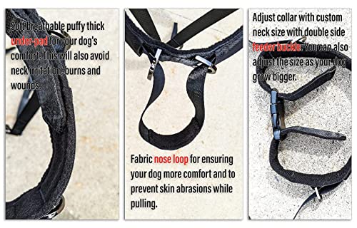 Headcollar For Pulling Dogs, No-Pull Dog Collar, Dog Walking/Training Dog Collar | Training Collar For Dogs | Makes Your Walking Easy And Peaceful (L) #TOP1