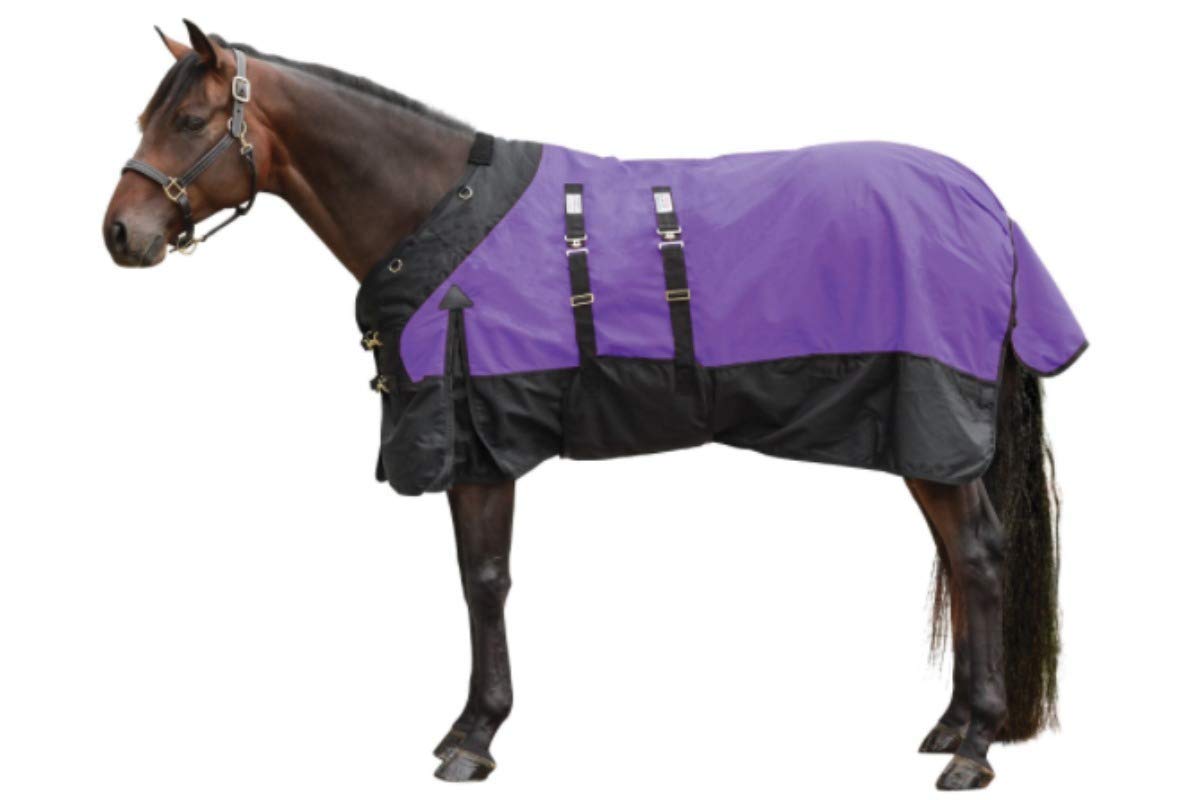 STORM SHIELD Extreme Horse Turnout Blanket | Medium Weight - 220 Grams | Size 74 - Purple | 1680 Denier | Contour Collar | Euro Fit | Bellyband | Waterproof, Windproof & Breathable