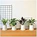 Concrete Plant Molds 4 Holes Handmade Crafts Pen Holder Clay Silicone Mould Cement Planter Molding Tool