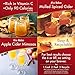 Alpine Spiced Apple Cider Original (48 Pouches) 0.74 OZ Each - Alpine Apple Cider