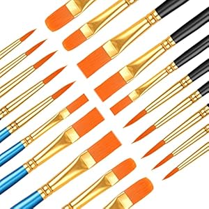 Phinus 20-teiliges Acryl Aquarell Pinsel-Set