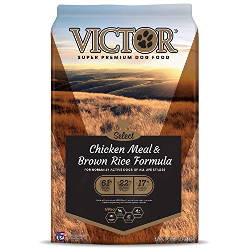 Top 10 Best Dog Foods for Chicken Allergy A Comprehensive Guide