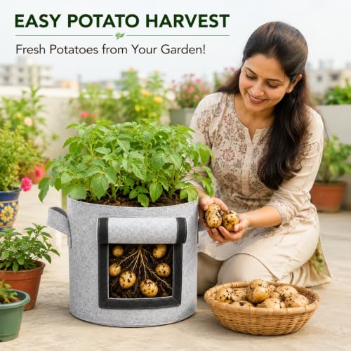 Image of Casa De Amor 15x12 Inch Potato Grow Bags for Root Vegetables, Geo Fabric 400 GSM Plant Bag (Light Grey Color, Pack of 2)