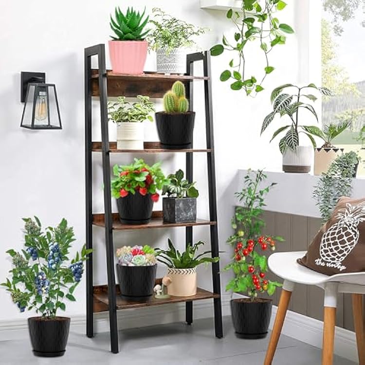 Pot Transparent Avec Trous Et Soucoupe Pour Orchidées, Cactus – ABS Respirant, Diam. 11/14/16 Cm