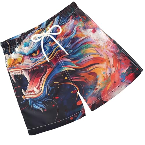 Pigsaly Boys Swim Trunks Dragon Painting Style Boys Board Shorts Swimsuit Swimwear Summer Bathing Suit 4T Multicolor