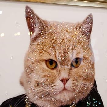 Amazon.co.jp: アートフレーム セレブキャット 絵画 クリスタル