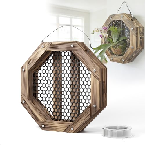 THXTYVM 10.5 Inches Staghorn Fern Mounting Kit Orchid Mounting Wood Hanging Plant Frame Wall Planter Plant Holder Basket for Orchids Staghorn Fern Tropical Plants (265x265x60mm)