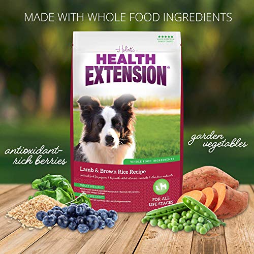 The 15 Best Health Extension Dog Food of 2024 [Verified] Cherry Picks