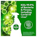 Dettol Antibacterial Surface Cleaning Spray, Lime and Mint, 750 ml (Pack of 1) (Packaging May Vary) - Image 5