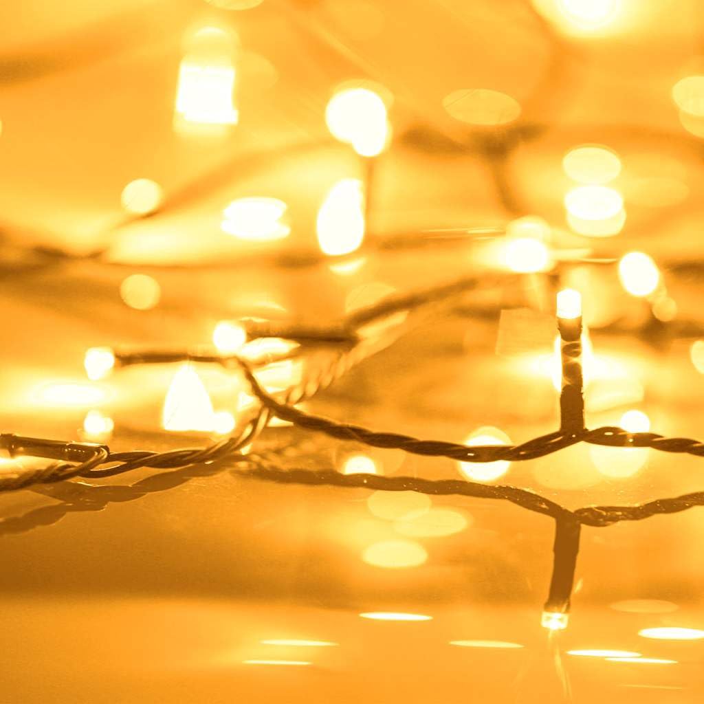 Lichterkette mit 600 LEDs 60 m IP44 Warmweiß für Innen und Außen mit 8 Lichteffekten, wetterfest, energiesparend, ideal für Garten, Balkon, Fassade, festliche Dekoration