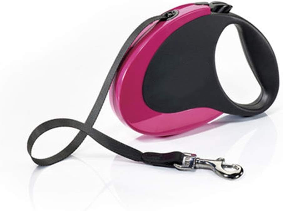 ドラゴンボールカードダス 1990年 B-2 カメハウスの仲間鳥山明