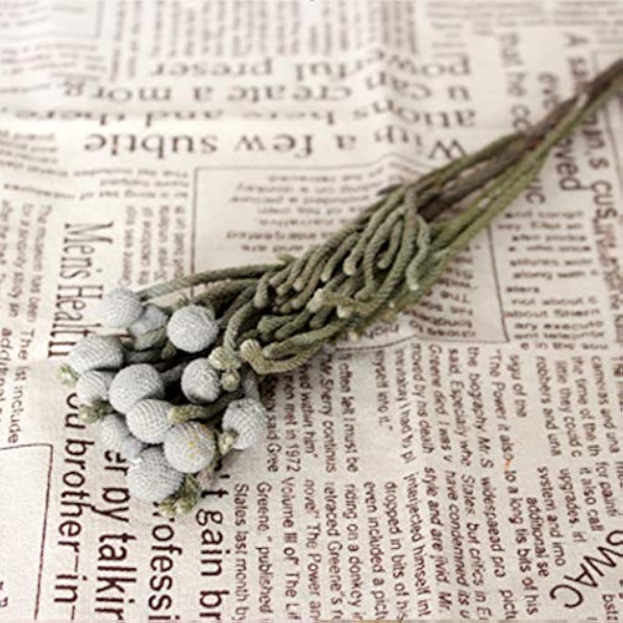 Dried Flower Decorative Stem Branch for Crafts
