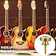 2 Pack Gitarrengurt Fixateur Metall Gitarrengurt Endknopf Gitarrengurts Knöpfe mit Befestigungsschrauben und Gummi Kissen für Klassische Elektrische Akustik Gitarre, Bass