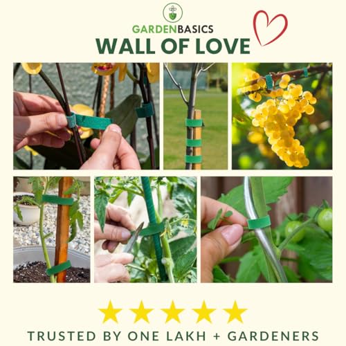 Image of Plant Ties; Reusable, Adjustable, Gentle Plants Supports for Effective Growing; Multi-Use Support Tie Tape for Gardening, Wire Organizer, Cable Management (1 MTR x 12 MM - 5 Roll) Green
