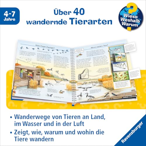 Wieso? Weshalb? Warum?, Band 37 - Alles über Tierwanderungen (Sachbuch ab 4 Jahre - mit Klappen) (Kernreihe, 37)