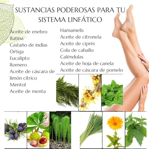 Green idea - Lymforegen Gel - Stimuliert das Lymphsystem mit 15 Kräutern und ätherischen Ölen - effektive Regeneration - unterstützt Lymphdrainage und Entwässerung- aktive Kräuterformel 200 ml