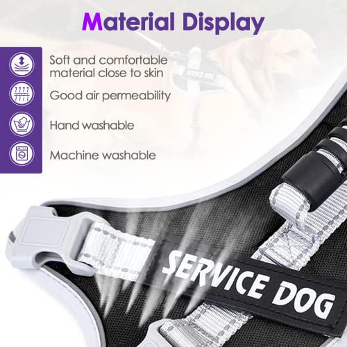 Dog Harness For Small Medium Puppy Dogs No Pull Reflective Adjustable Soft Mesh Dog Harness And Leash Set Step In Easy Control Pet Dog Vest Harness With Handle For Walking Training Running (S, Black) #TOP4