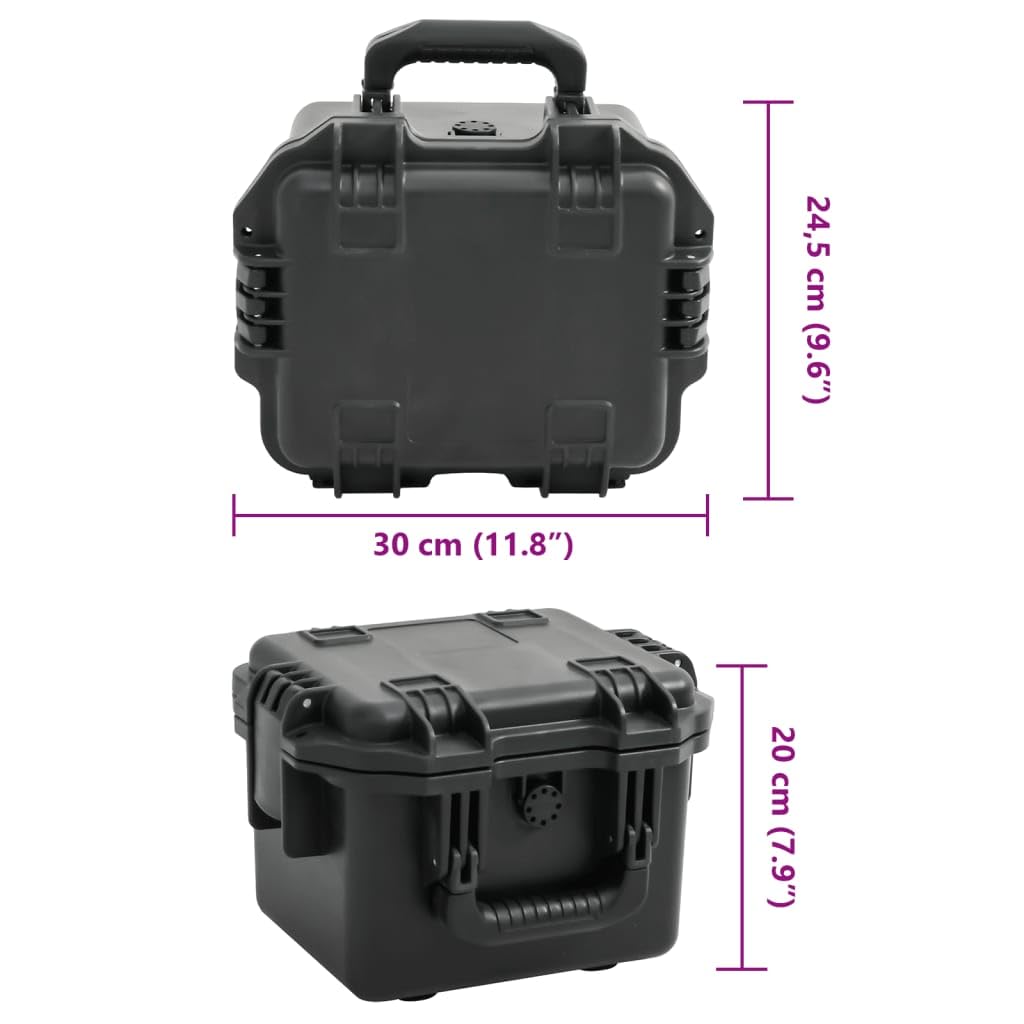 Valise de Vol Portable Noir 30x24,5x20 cm PP Mallette Rigide Boîte de Rangement avec Inserts en Mousse Amovibles, étui de Transport Valise de Protection