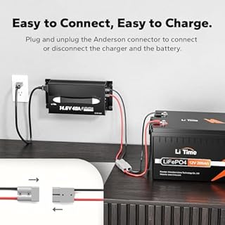 LiTime 14.6V Dedicated Portable LiFePO4 Batteries Charger, 40A Large Output Current with Multi-Stage Charging, Equipped with LED Real-Time Charging Value, High Charging Efficiency for LiFePO4 Battery