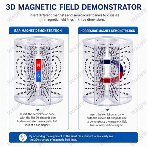 Kit de visualisation des lignes de champ magnétique pour enseignement STEM - 6